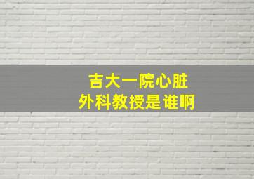 吉大一院心脏外科教授是谁啊