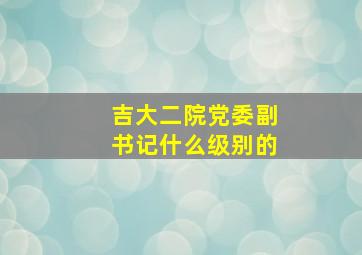 吉大二院党委副书记什么级别的