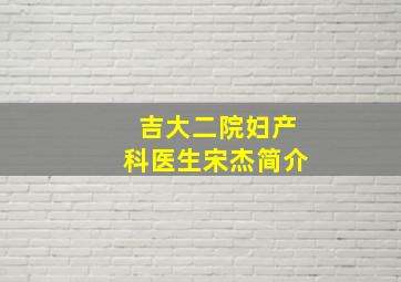 吉大二院妇产科医生宋杰简介