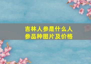 吉林人参是什么人参品种图片及价格