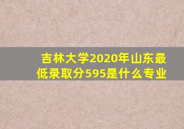 吉林大学2020年山东最低录取分595是什么专业