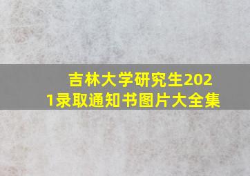 吉林大学研究生2021录取通知书图片大全集