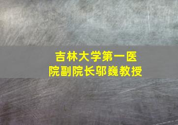 吉林大学第一医院副院长邬巍教授