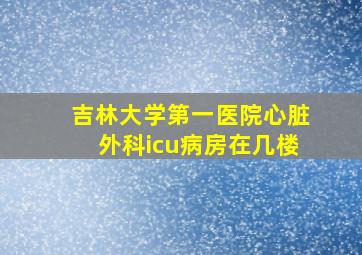 吉林大学第一医院心脏外科icu病房在几楼