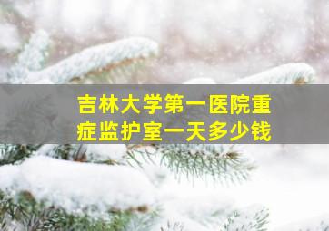 吉林大学第一医院重症监护室一天多少钱