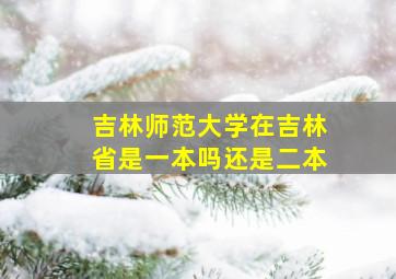 吉林师范大学在吉林省是一本吗还是二本