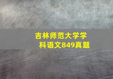 吉林师范大学学科语文849真题