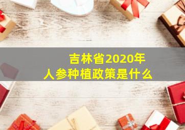 吉林省2020年人参种植政策是什么