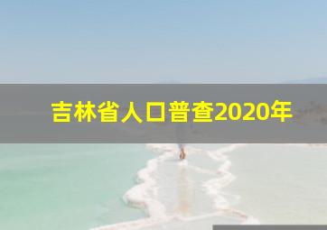 吉林省人口普查2020年