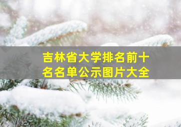 吉林省大学排名前十名名单公示图片大全