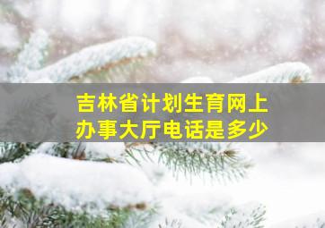 吉林省计划生育网上办事大厅电话是多少