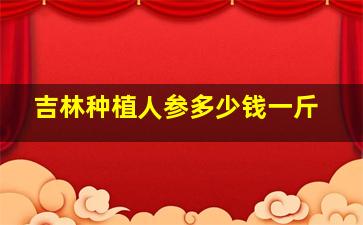 吉林种植人参多少钱一斤