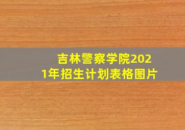 吉林警察学院2021年招生计划表格图片