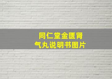 同仁堂金匮肾气丸说明书图片