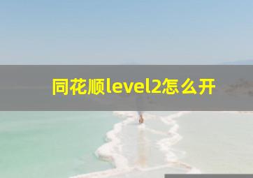 同花顺level2怎么开