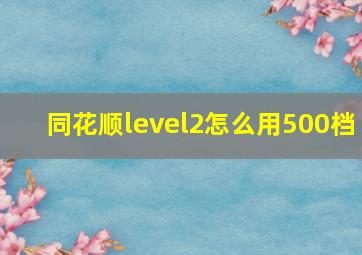 同花顺level2怎么用500档