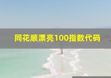 同花顺漂亮100指数代码