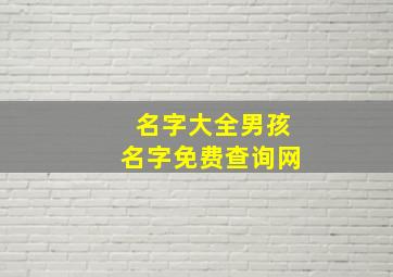 名字大全男孩名字免费查询网