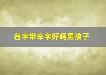 名字带辛字好吗男孩子