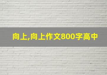 向上,向上作文800字高中