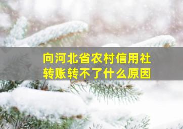 向河北省农村信用社转账转不了什么原因