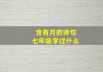 含有月的诗句七年级学过什么