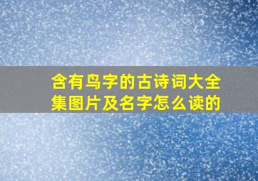 含有鸟字的古诗词大全集图片及名字怎么读的