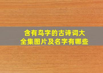 含有鸟字的古诗词大全集图片及名字有哪些