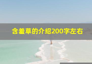 含羞草的介绍200字左右