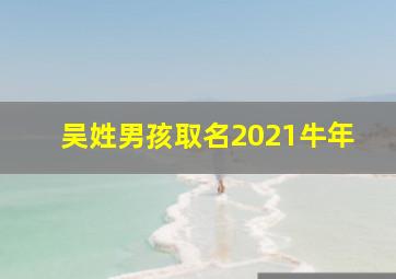 吴姓男孩取名2021牛年