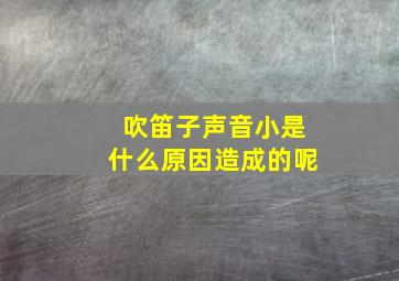 吹笛子声音小是什么原因造成的呢