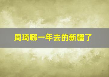 周琦哪一年去的新疆了