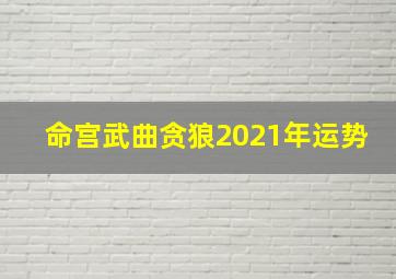 命宫武曲贪狼2021年运势