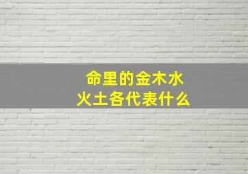 命里的金木水火土各代表什么