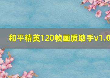 和平精英120帧画质助手v1.0