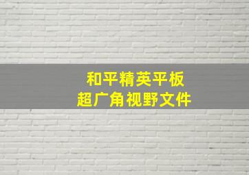 和平精英平板超广角视野文件