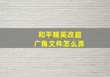 和平精英改超广角文件怎么弄