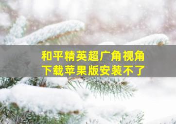 和平精英超广角视角下载苹果版安装不了