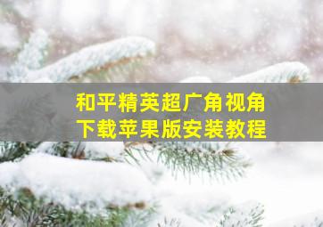 和平精英超广角视角下载苹果版安装教程