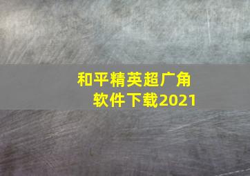 和平精英超广角软件下载2021