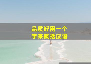 品质好用一个字来概括成语