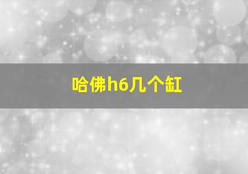 哈佛h6几个缸