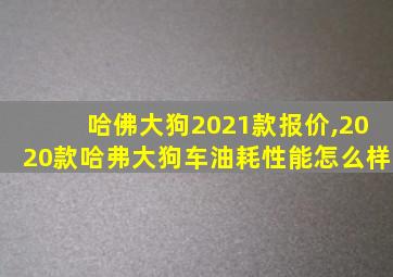 哈佛大狗2021款报价,2020款哈弗大狗车油耗性能怎么样