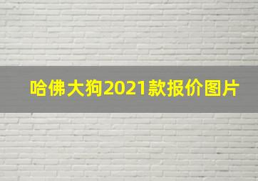 哈佛大狗2021款报价图片