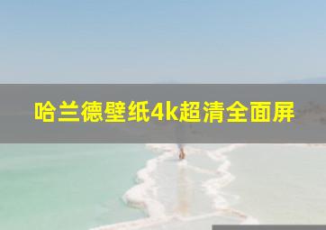 哈兰德壁纸4k超清全面屏