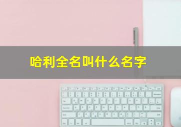 哈利全名叫什么名字