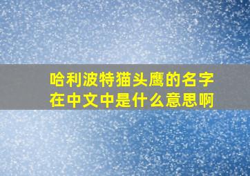 哈利波特猫头鹰的名字在中文中是什么意思啊