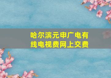 哈尔滨元申广电有线电视费网上交费