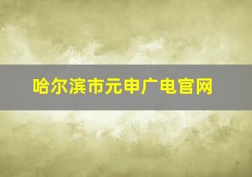 哈尔滨市元申广电官网