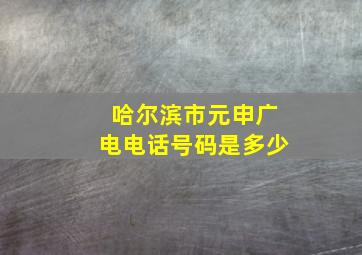 哈尔滨市元申广电电话号码是多少